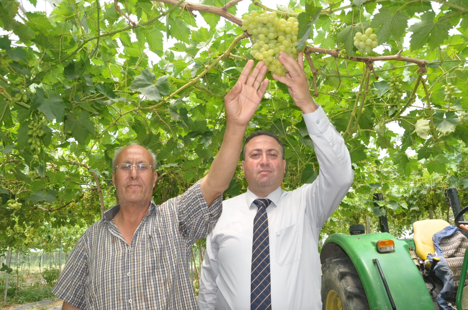 Tarsus’ta sezonun ilk üzüm hasadı başladı